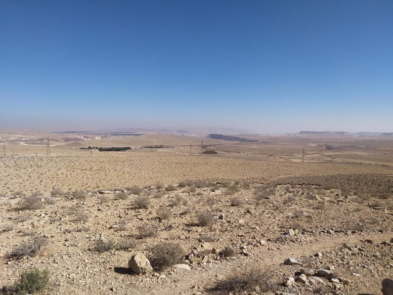 Negev Desert