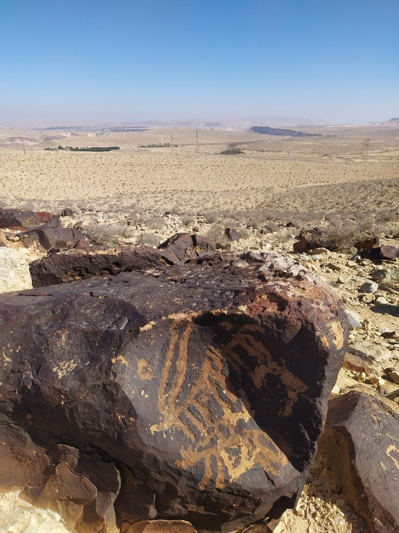 Negev Petroglyphs of Animals