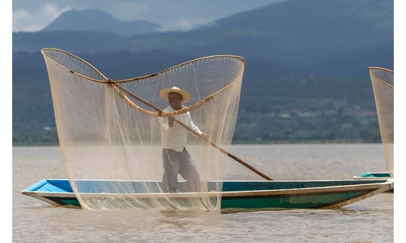 A man fishes on Mexico's Lake Patzcuaro, where authorities have released thousands of fish to rebuild stocks hit by drought