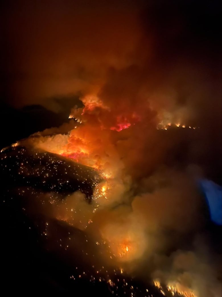 An aerial view of a wildfire at night.