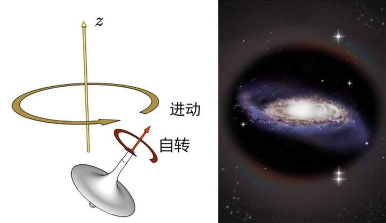 Spinning Top Galactic Disk Warp