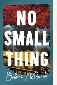 Book cover of ‘No Small Thing’