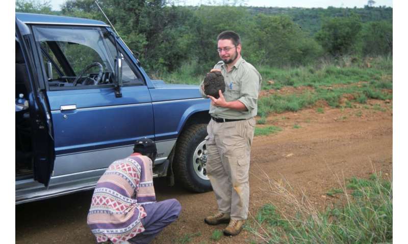 Denver Museum of Nature & Science scientist unveils study: One elephant supports 2 million dung beetles in east African savannas