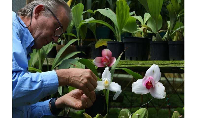 At 'The Soul of the Forest,' Piedrahita also gives cultivation classes, has an educational YouTube channel and an online school, which help fund operations