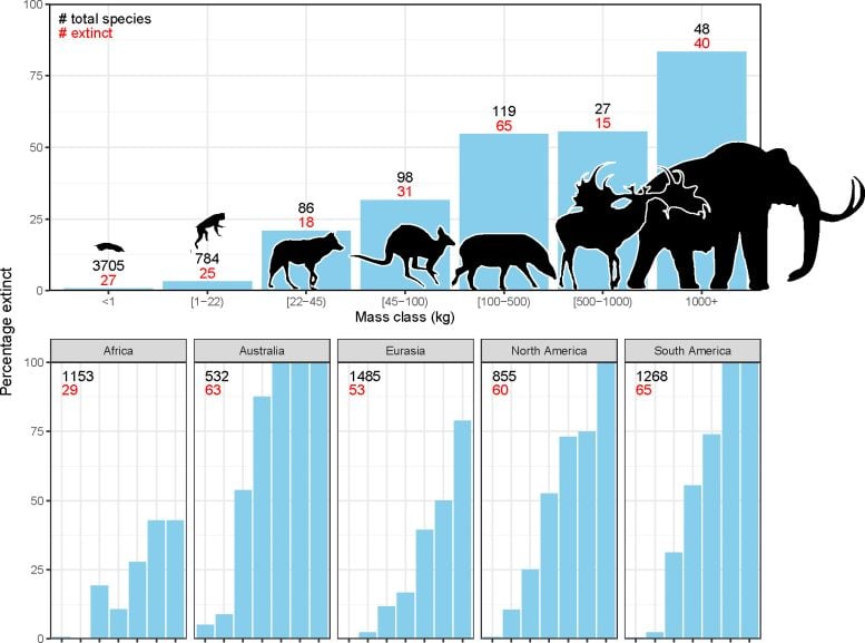 Extinct Mammals Graphics