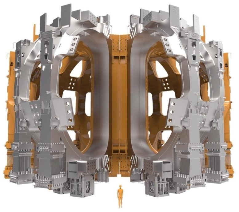 Toroidal Field Coils and the Tokamak Vacuum Vessel