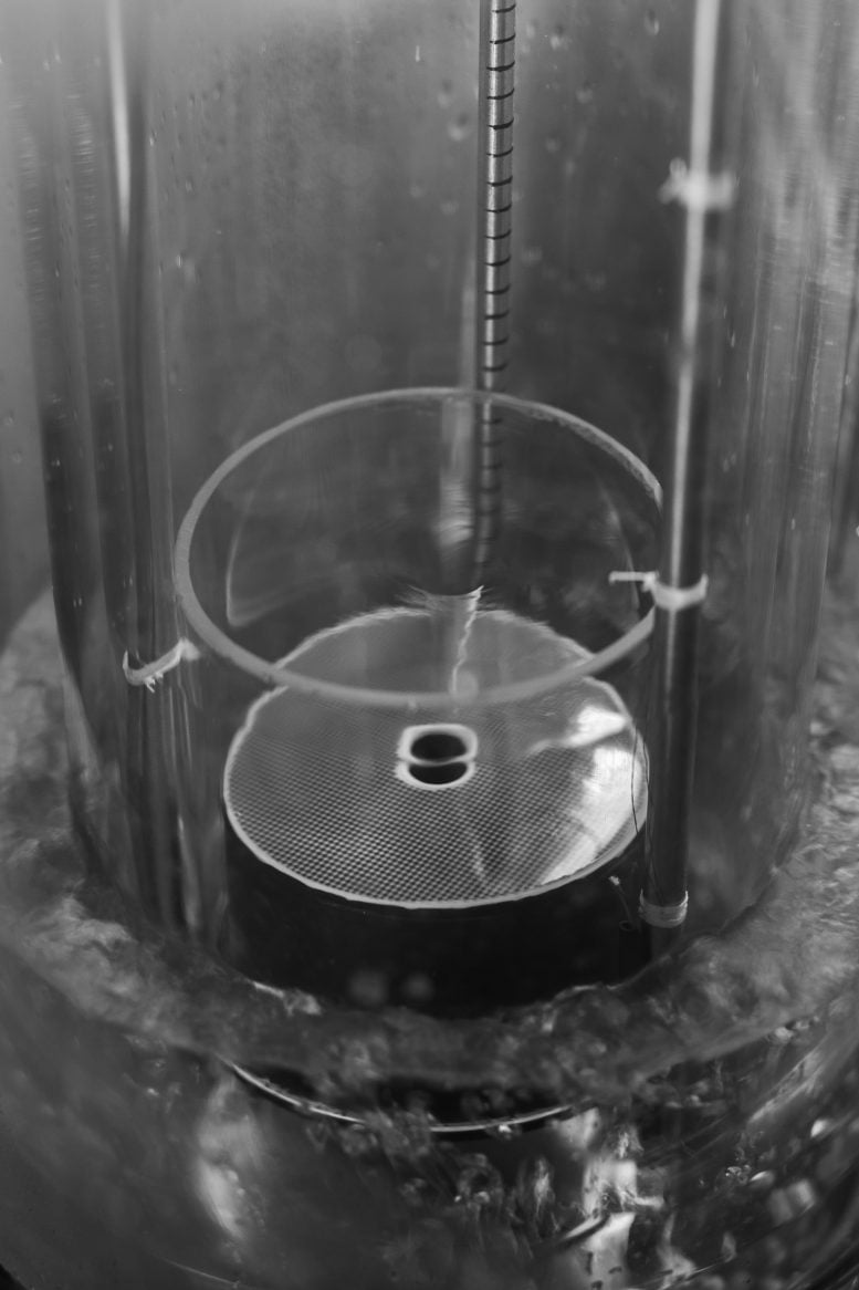 Quantum Vortex in Superfluid Helium Experiment