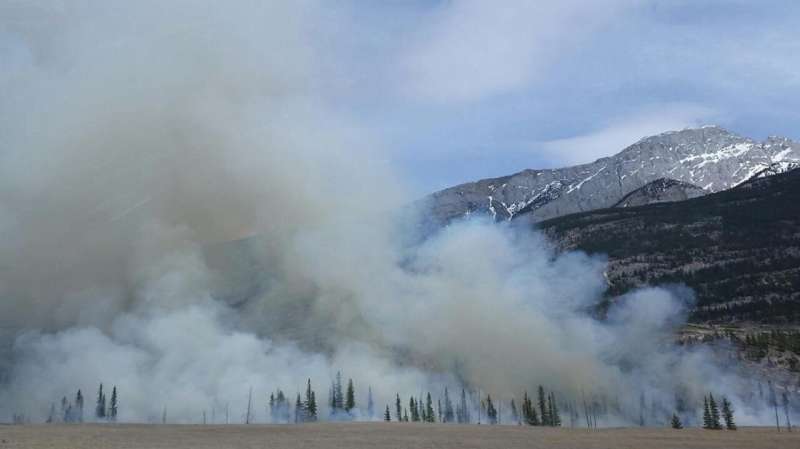 Gases from burning biomass react within clouds, forming secondary organic aerosols