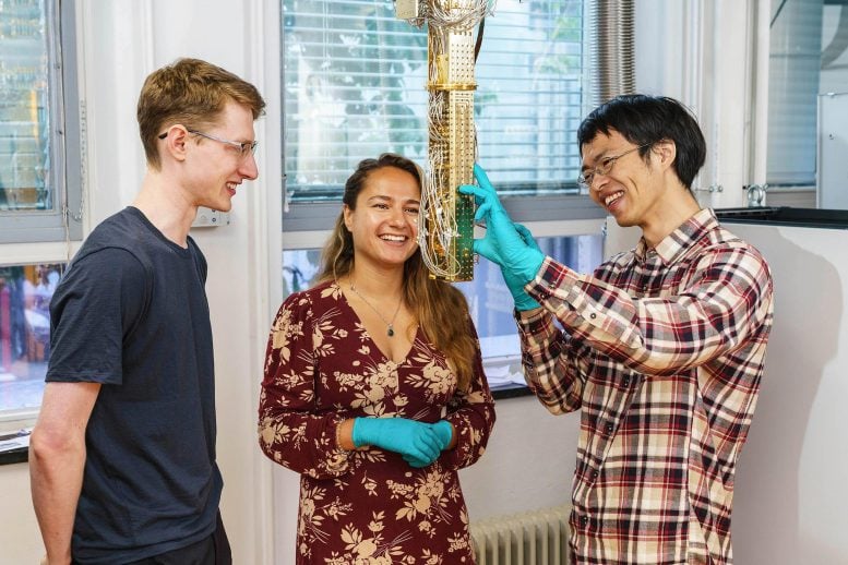 Sasha Ivlev, Hanifa Tidjani, and Chien-An Wang