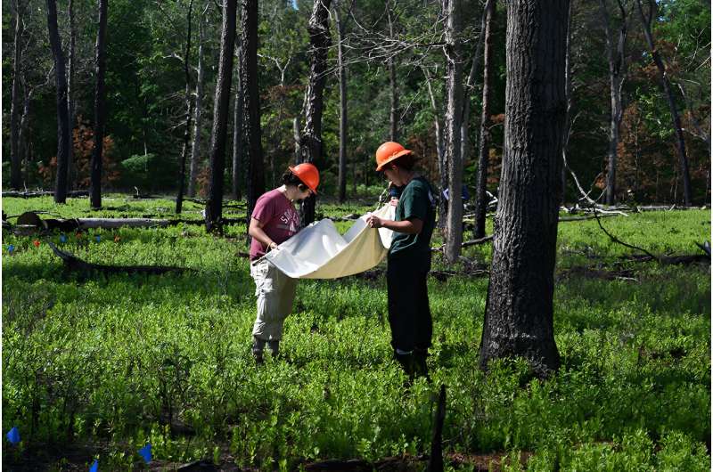 Using fire management to see how ticks…tick