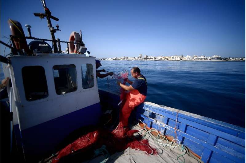 The fireworms are both predators and scavengers and can destroy a large amount of a fisher's catch.