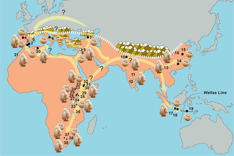 European Hominids Route