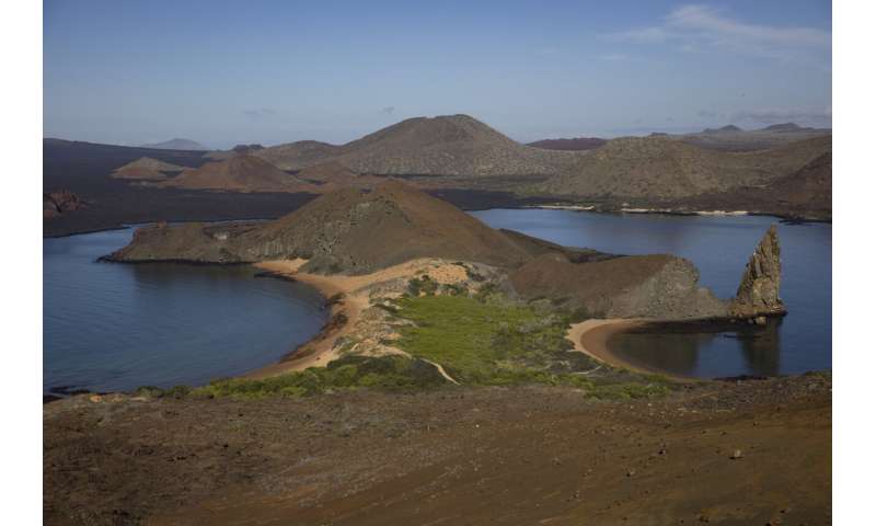 The Galapagos Islands and many of their unique creatures are at risk from warming waters