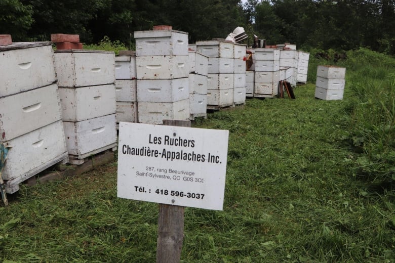 A sign that says Chaudières-Appalaches hives. In a field are dozens of bee hives