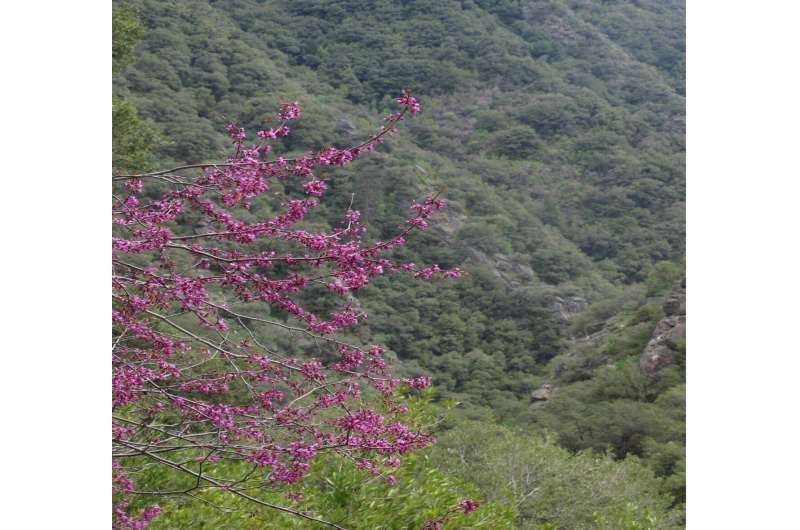 California a botanical and climate change hot spot