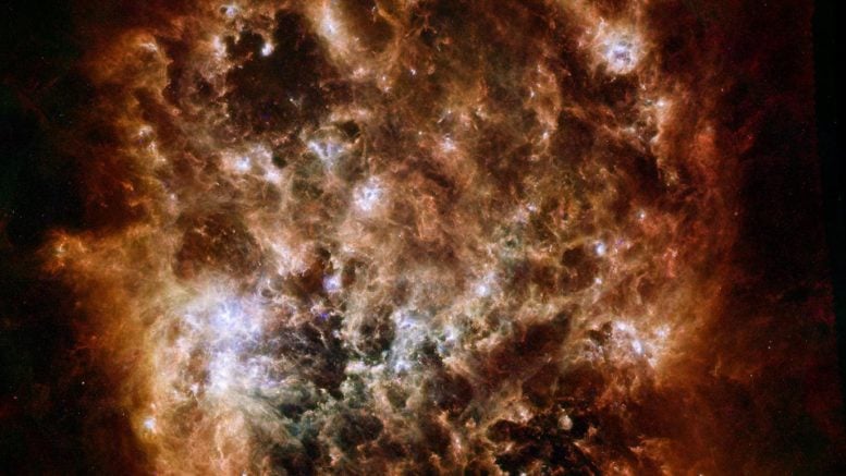 Large Magellanic Cloud