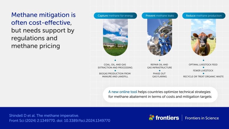 Methane Mitigation Is Often Cost-Effective