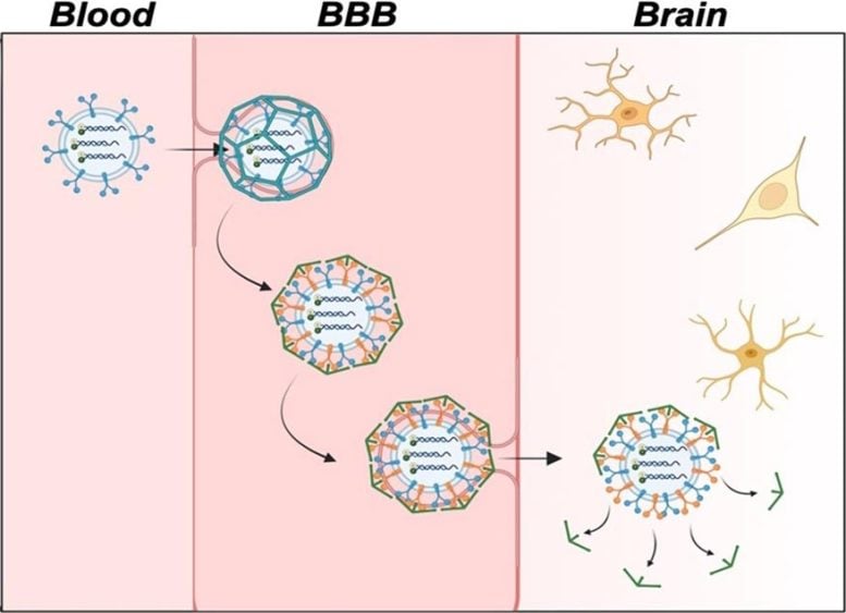 Improving Alzheimer’s Disease Imaging