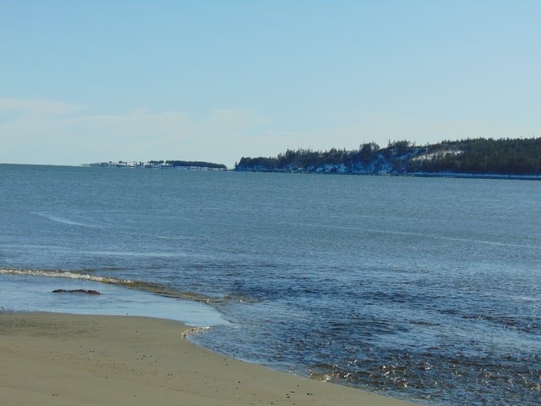 Ocean waves lap onto the beach.