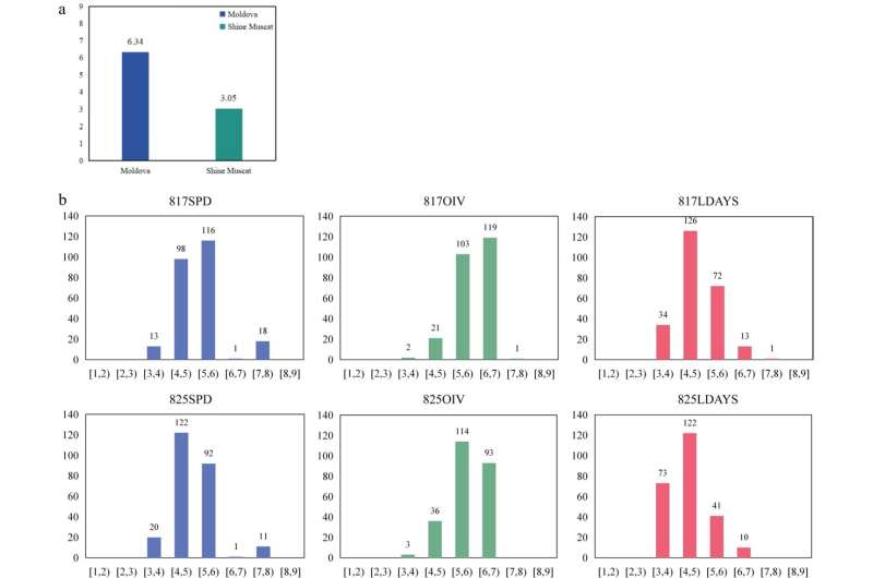 Rpv34: A novel plasmopara viticola resistance locus discovered in 'Moldova' grapes