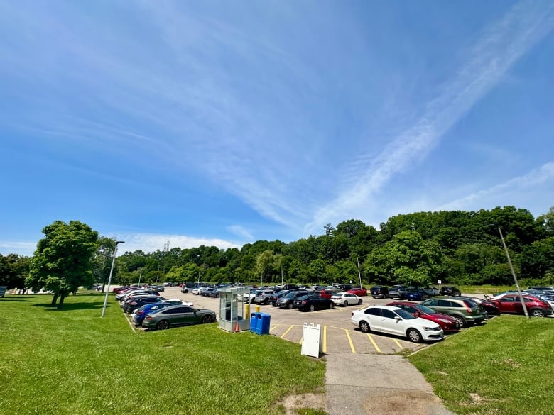 cars in a parking lot surrounded by trees