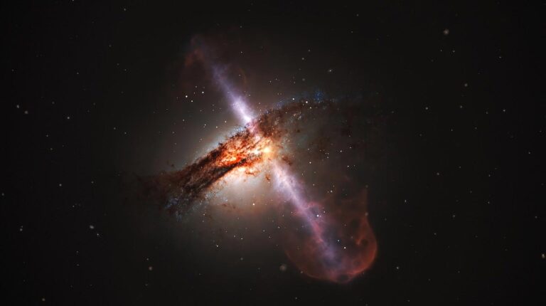 Black Holes: Not Destroyers but Protectors