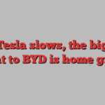 As Tesla slows, the bigger threat to BYD is home grown