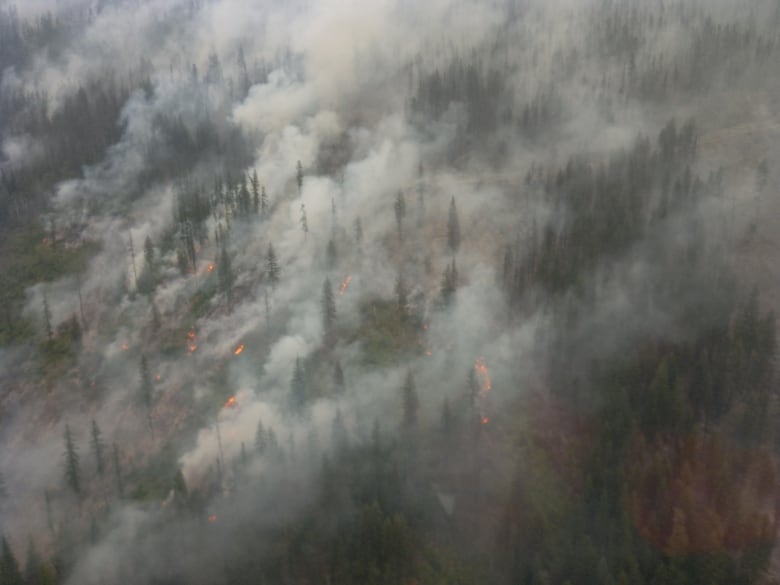 Pictured is the Argenta Creek wildfire in B.C.'s West Kootenay. 