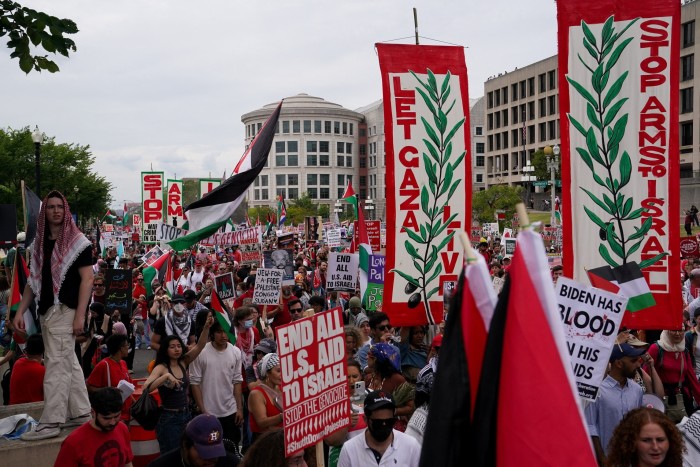 Pro-Palestinian demonstrators protest on Capitol Hill in Washington DC, July 24 2024