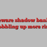 Beware shadow banks gobbling up more risk