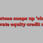 Blackstone snaps up ‘circular’ private equity credit risk