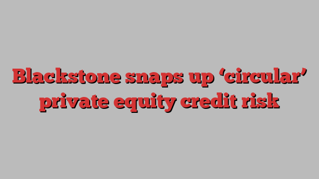 Blackstone snaps up ‘circular’ private equity credit risk