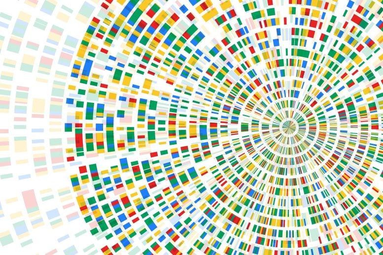 Genetics Genome Sequence DNA Map