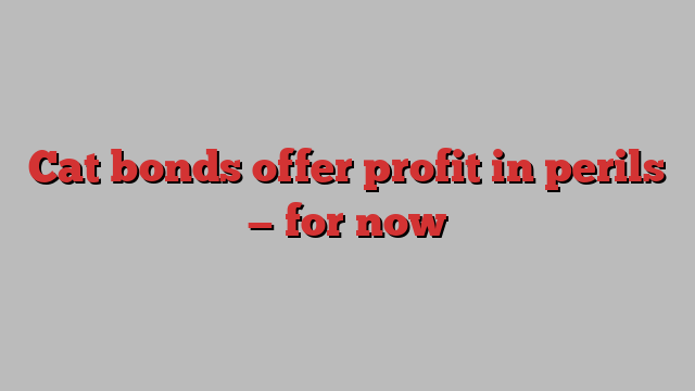 Cat bonds offer profit in perils — for now