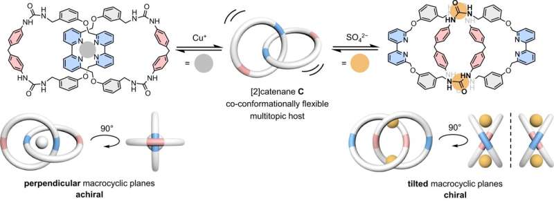 Chemists develop chameleon-like molecular chain with dual ion binding capability