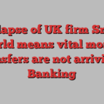 Collapse of UK firm Small World means vital money transfers are not arriving | Banking