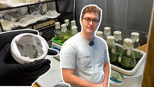 cbc's rowan kennedy in foreground, with a petri dish next to him, and some beakers of algae in background