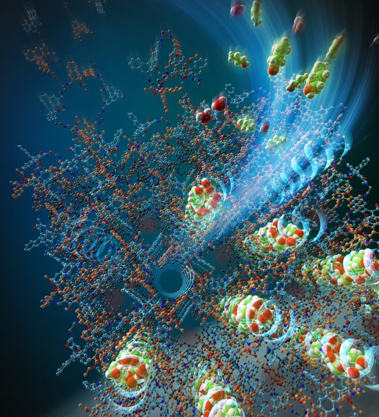 New Dual-Functional Supramolecular Structures Unveiled