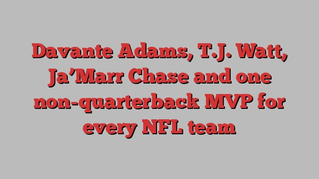 Davante Adams, T.J. Watt, Ja’Marr Chase and one non-quarterback MVP for every NFL team