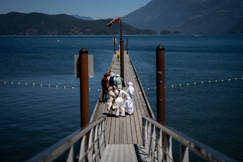 A group of people walk on a dock and look out over a lake.