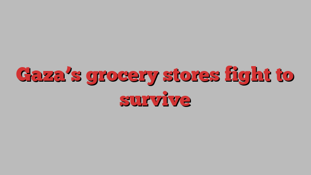 Gaza’s grocery stores fight to survive