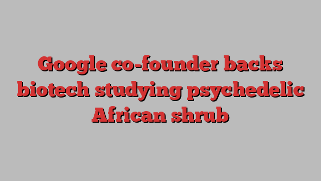 Google co-founder backs biotech studying psychedelic African shrub