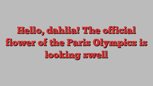 Hello, dahlia! The official flower of the Paris Olympics is looking swell