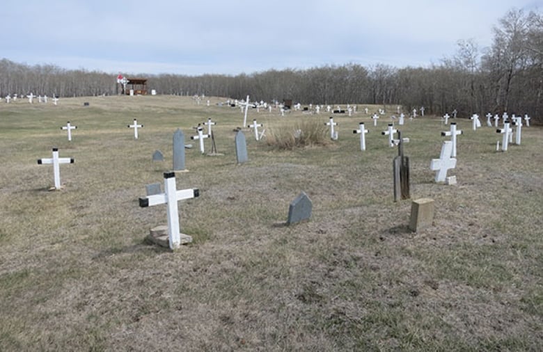 A wide image of a cemetery, showing many wooden, white crosses