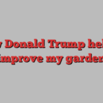 How Donald Trump helped improve my garden