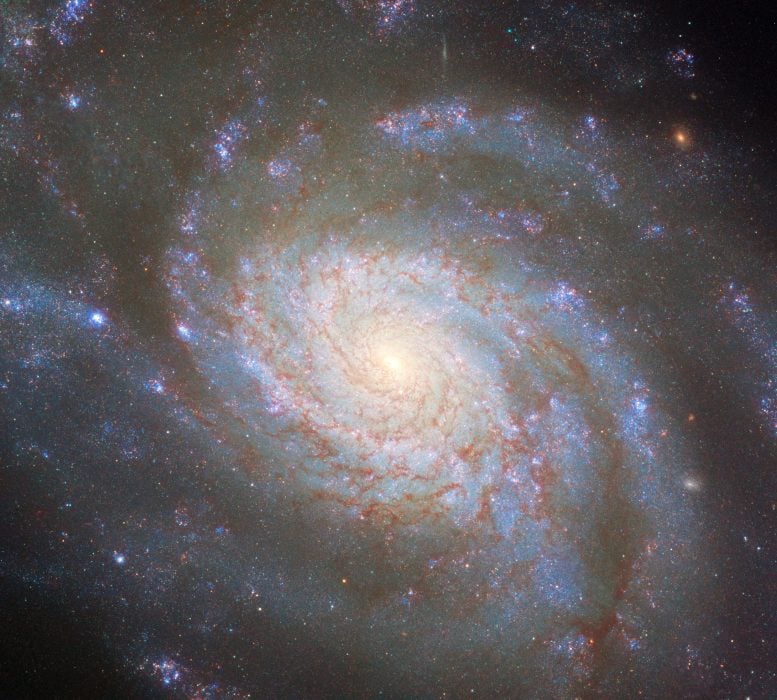 Galaxy NGC 3810