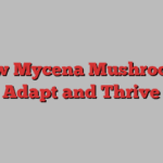 How Mycena Mushrooms Adapt and Thrive