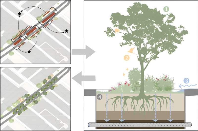 Stepping stones for wildlife: how linking up isolated habitats can help nature thrive in our cities