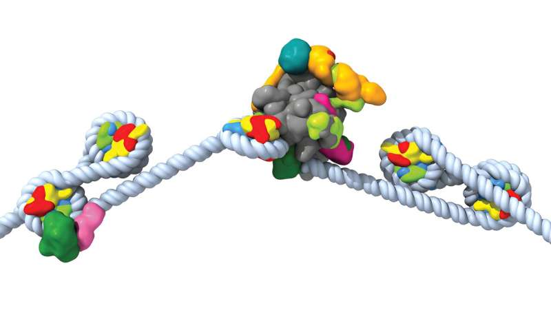 How machine learning is propelling structural biology