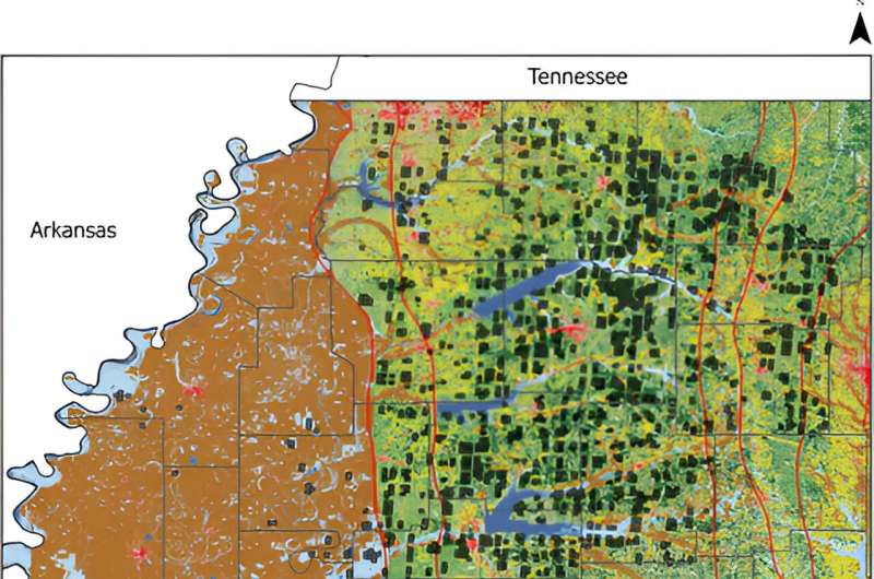 How spaceborne satellites can help with forest monitoring